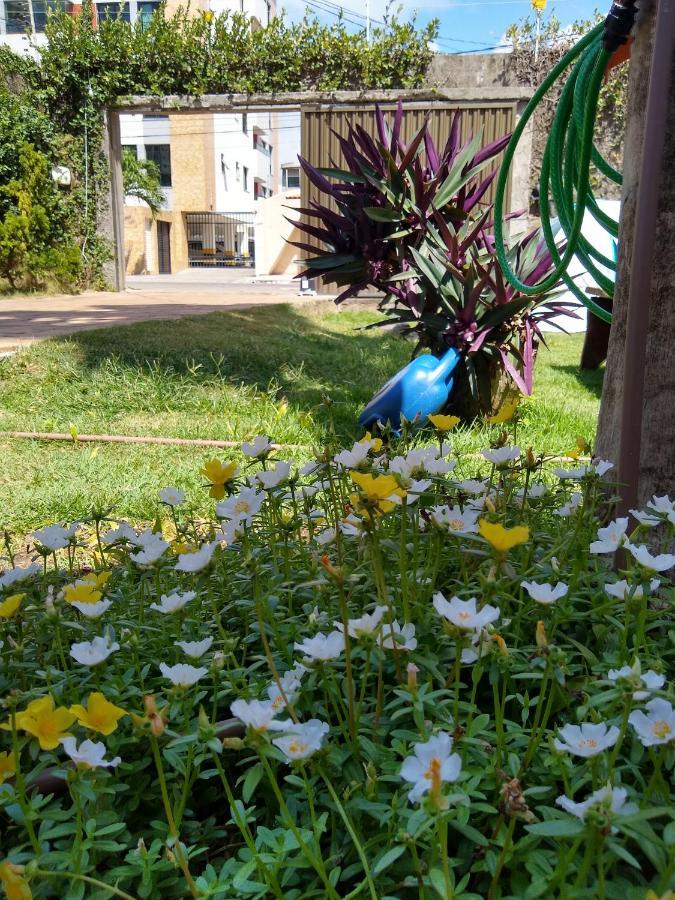 Hostel Consciente Aracaju Exterior photo